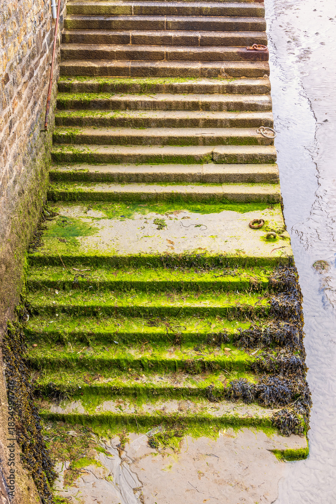 Fototapeta premium Stair on an old pier with green seaweed