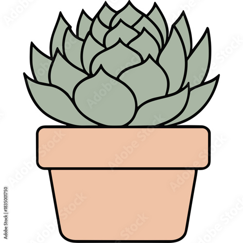 Minimalist Illustration Of A Light Green Succulent Plant In A Peach Pot On A Black Background With Clean Lines And Simple Shapes