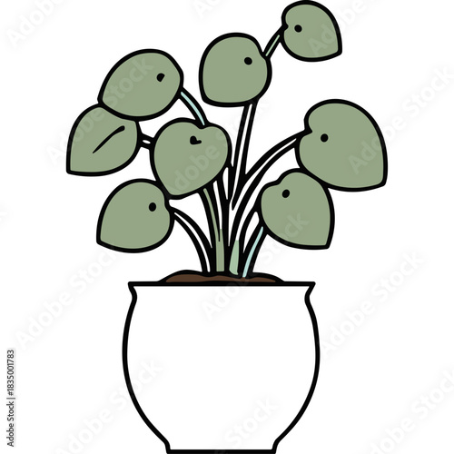 Minimalist Illustration of a Potted Chinese Money Plant with Round Green Leaves and a Black Pot on a Transparent Background