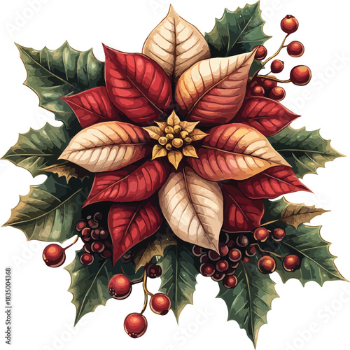 Christmas wreath and floral frame with red holly berries, green pine branches, and winter roses isolated on a white background for a festive holiday season decoration