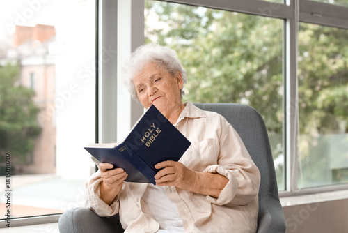 Senior woman in armchair re...