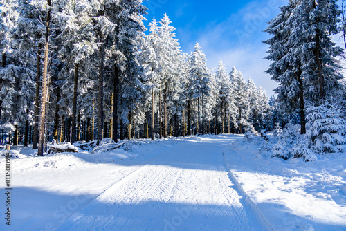 Winterwunderland im Thüringer Wald im Wintersportort Oberhof am Rennsteig - Thüringen - Deutschland