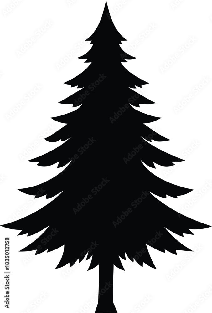 Obraz premium Evergreen tree black silhouette on white background