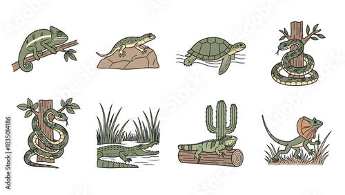 Diverse reptile and amphibian collection featuring various species in their natural habitats