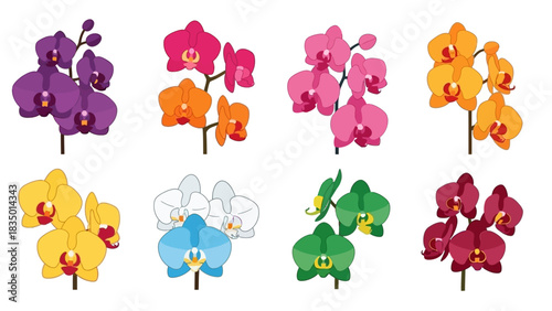 Colorful Orchid Flower Blossom Vector Illustration Set for Botanical Design and Decoration