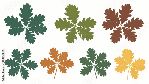 Colorful Oak Leaf Set Illustration with Autumnal Tones on a White Background