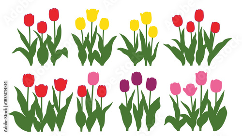 Colorful Tulip Flower Vector Illustration for Spring Season and Floral Designs