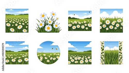 Daisy Fields and Floral Scenery Vector Illustrations of Meadows and Pastures Graphics
