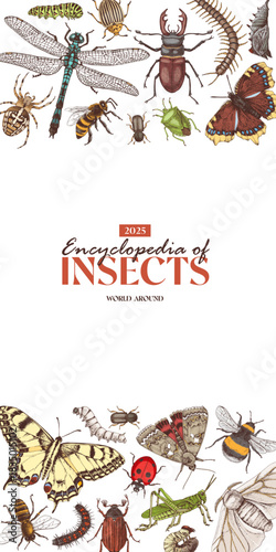 Insects hand drawn vertical seamless border