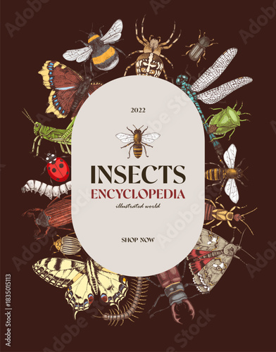 Insects encyclopedia banner page vector