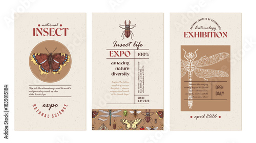 Set of banners with hand drawn insects
