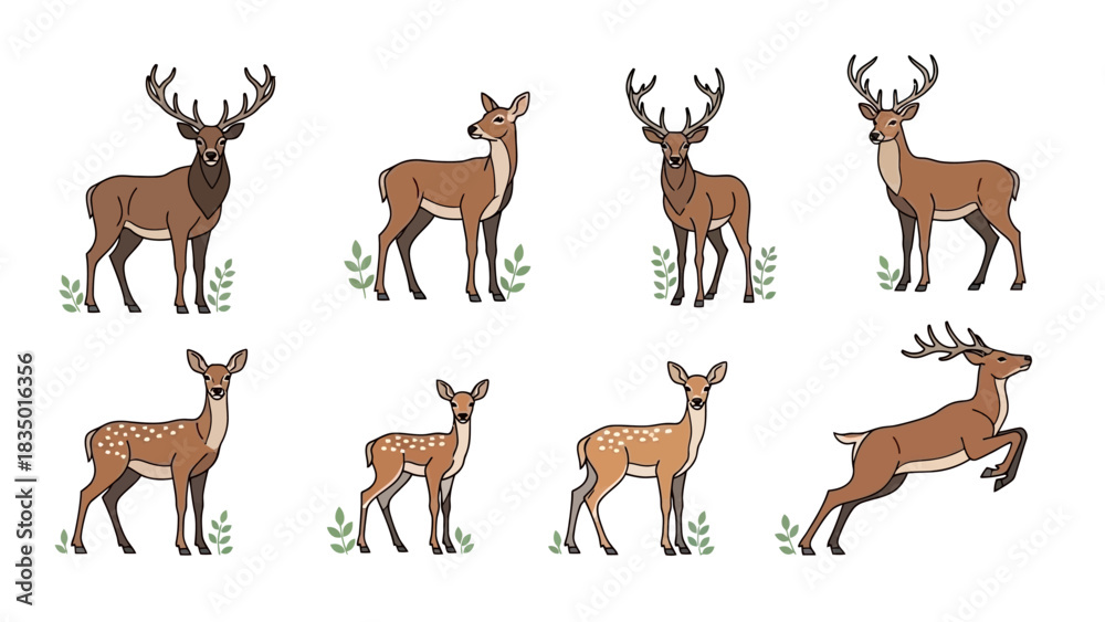 Obraz premium Illustrative group of deer in different poses perfect for wildlife and nature themes