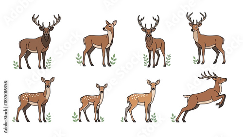 Illustrative group of deer in different poses perfect for wildlife and nature themes