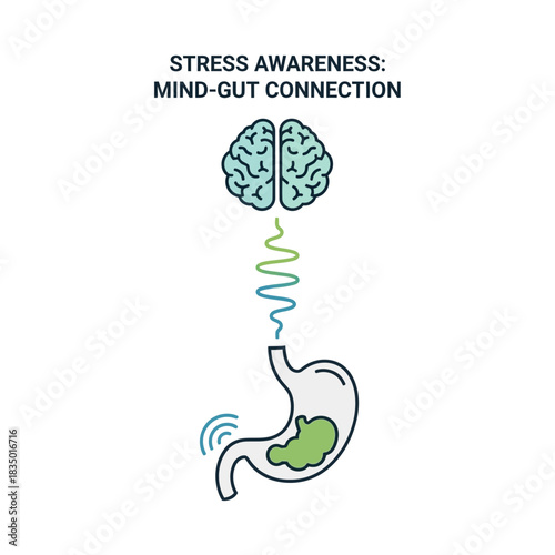 The Mind-Gut Connection Visualized: Brain and Stomach Interplay for Stress Awareness