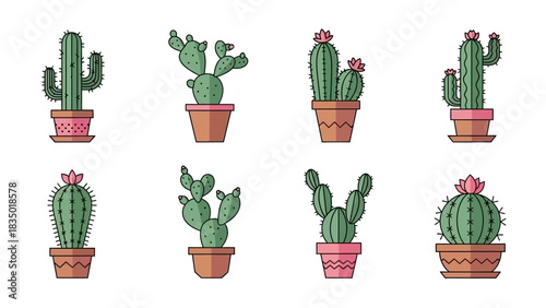 Set of decorative cactus plants in pots vector illustration for home decor