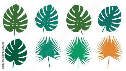 Tropical foliage vector illustration featuring monstera and fan palm leaves in various green and