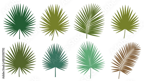 Tropical Leaf Silhouette Collection: Vector Illustration of Eight Diverse Palm Leaves