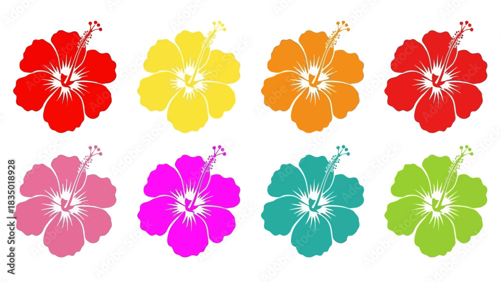 Obraz premium Vibrant Hibiscus Flower Collection in Multiple Colors for Tropical Themed Design Elements
