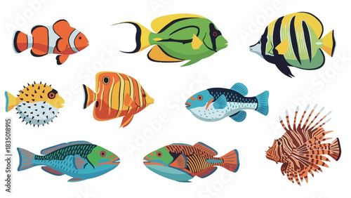 Vibrant collection of tropical fish species with distinct patterns and colors underwater world scene
