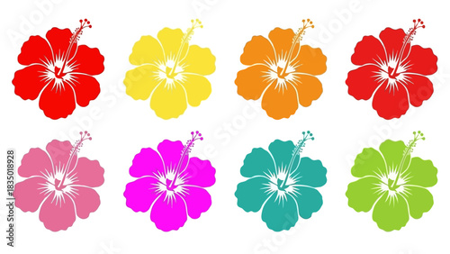 Vibrant Hibiscus Flower Collection in Multiple Colors for Tropical Themed Design Elements