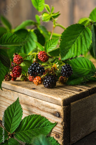 Blackberry branches with berries on old wooden background. Selective focus.