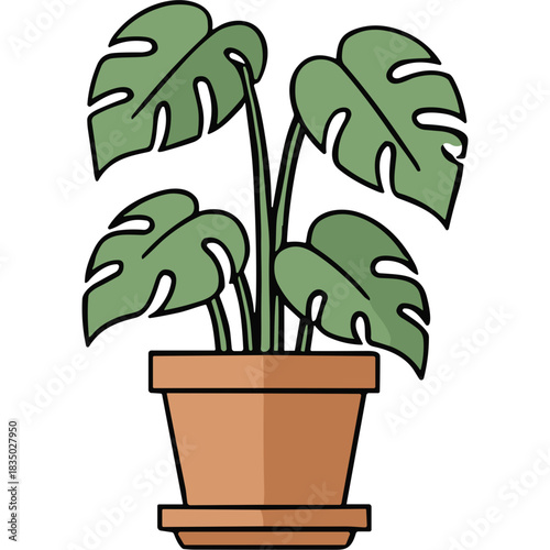 Monstera Deliciosa Plant in a Terracotta Pot Isolated on a Black Background Minimalist Illustration