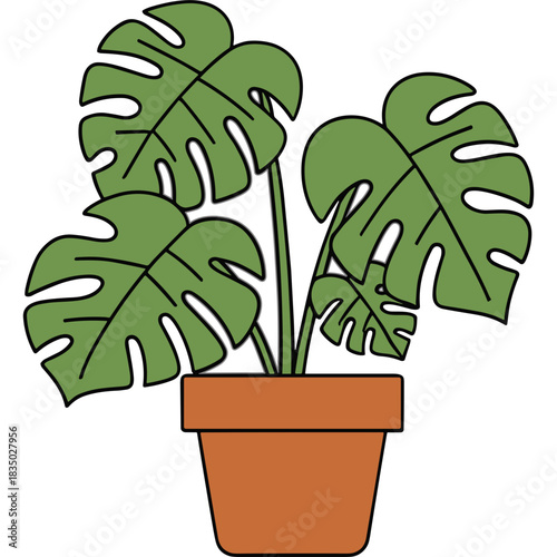 Monstera Deliciosa Plant In A Terracotta Pot With Large Green Leaves And Dark Stems A Simple Vector Illustration On A Black Background