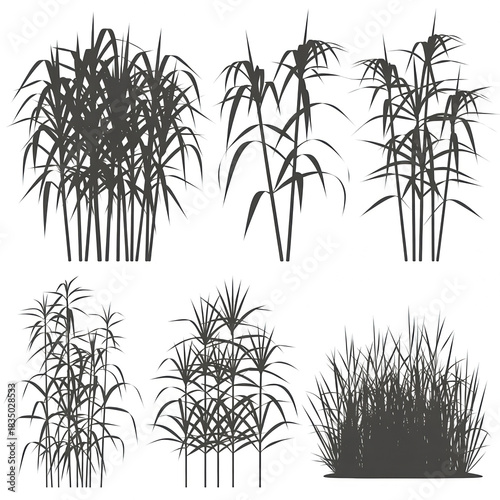 A collection of six distinct silhouettes of tall, grassy plants, arranged in two rows of three. The top row features three different compositions of slender.