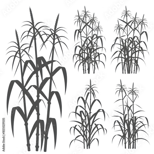 A set of six stylized, silhouette illustrations of various flowers, arranged in two rows of three. Each illustration depicts a single stem with detailed leaves .