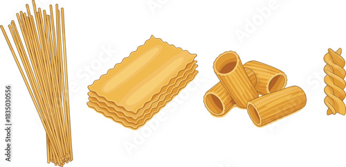 Variety of pasta types including spaghetti, lasagna, rigatoni, and fusilli for culinary, educational, and food design use
