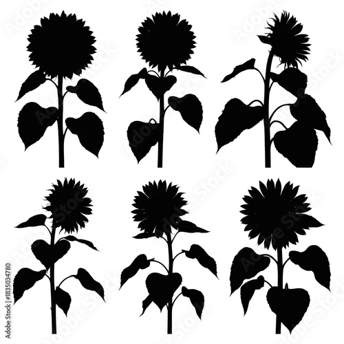 A graphic illustration depicting six silhouettes of sunflowers arranged in two rows of three. Each sunflower is rendered in stark black against a pure white background.
