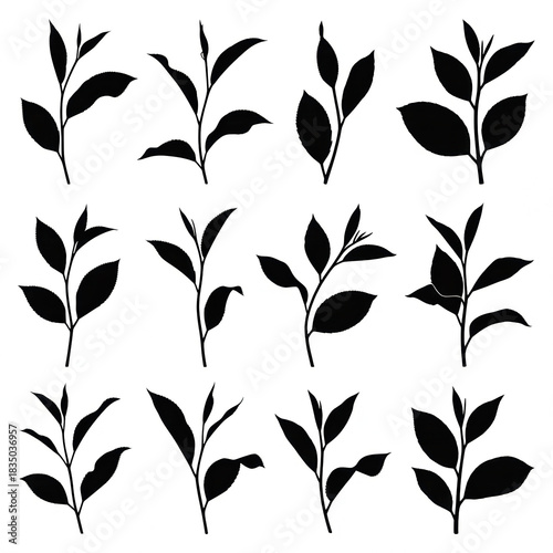 A collection of twelve minimalist, black silhouette illustrations of young tea plant sprigs, arranged in a 3x4 grid against a stark white background.