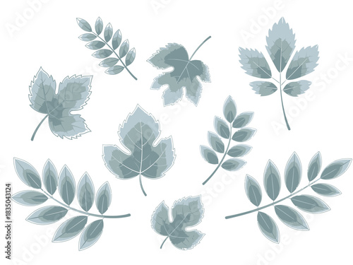Stylized bluegreen leaves collection featuring diverse lobed serrated and compound shapes with subtle vein details.