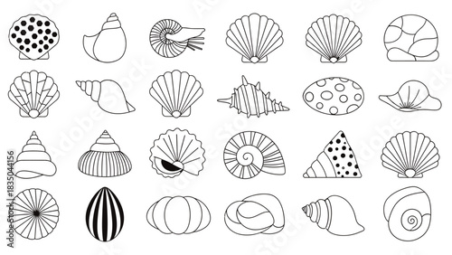 Collection of diverse seashell illustrations, showcasing various shapes and patterns for summer or marine themes.