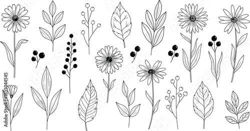 Women's $\text{Casual}$ Cropped Denim Trucker Jacket Technical Fashion Flat $\text{CAD}$ Drawing Vector Illustration with Topstitch Detail and Buttoned Chest Pockets For Design Portfolio $\text{Showca