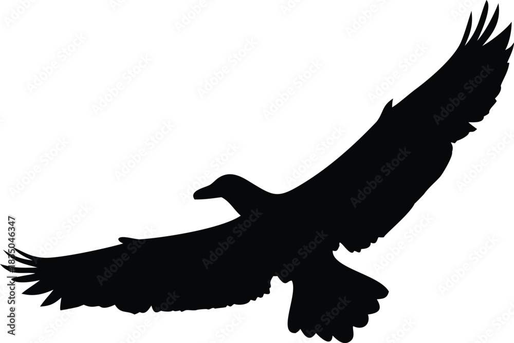 Fototapeta premium eagle silhouette vector