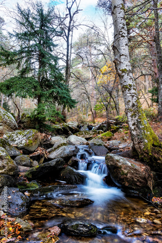 Otoño en el Abedular de Canencia