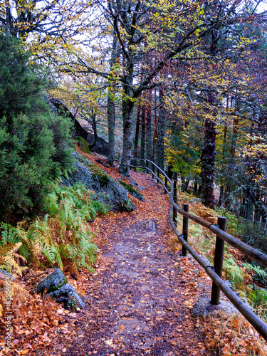 Senda de la Laguna Negra