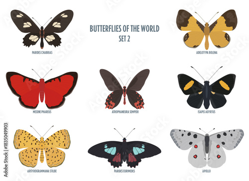 Butterflies of the world -2.eps