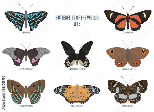 Butterflies of the world -3.eps