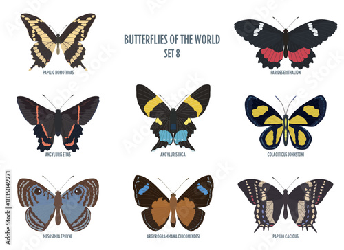Butterflies of the world -8.eps