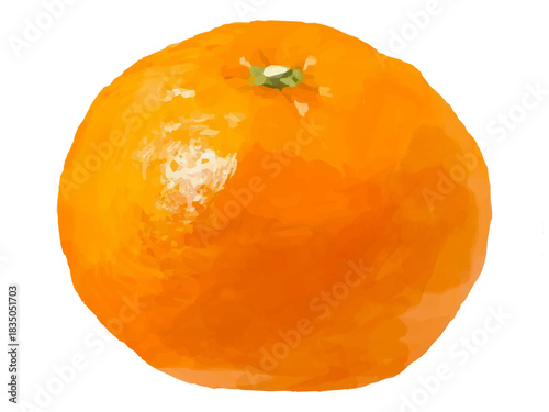 丸ごとみかんのベクターイラスト