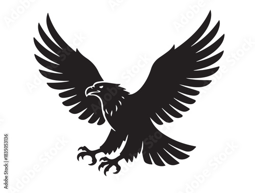 Eagle in flight vector image white background.