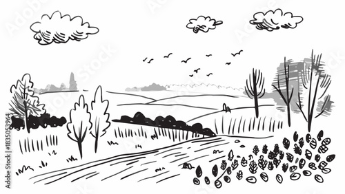 Very beautiful foggy autumn countryside morning with golden and amber leaves covering quiet trees, soft mist over fields, and a calm seasonal atmosphere embracing the warm tones of early fall.
