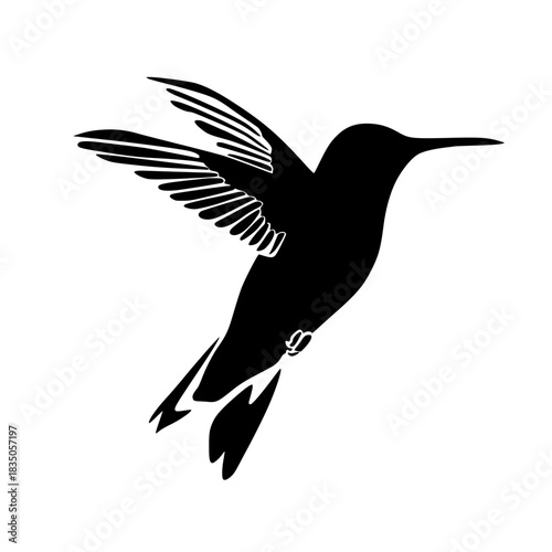 hummingbird illustration animal silhouette bird logo beautiful icon wildlife outline colorful fauna feather nature fly flight green exotic beak shape iridescent vector graphic background