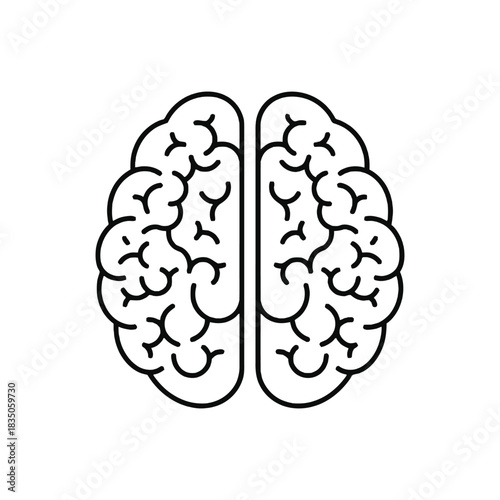 A simple line drawing depicts the human brain s two hemispheres clearly