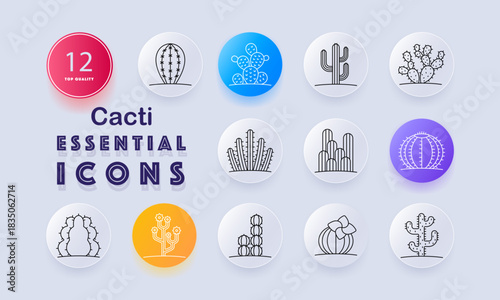 Cacti set icon. Oval cactus, prickly pear, saguaro, barrel cactus, blooming cactus, tall growth, desert flora, spines, round forms, floral growth, segmented shapes