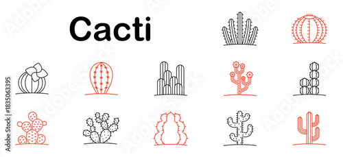 Cacti set icon. Various cactus species with different shapes, spines, flowers and branches desert plants represented in diverse stylized forms.