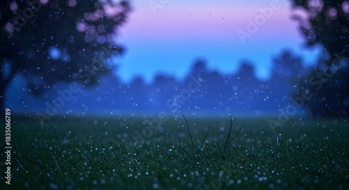 The soft, luminous quality of the air after rain.