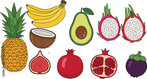 Collection of tropical fruits including pineapple, banana, coconut, avocado, dragon fruit, fig, pomegranate, and mangosteen healthy food illustration